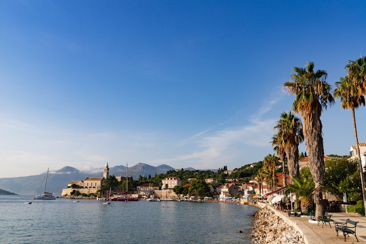 Palmen entlang einer Küstenpromenade in einer mediterranen Stadt